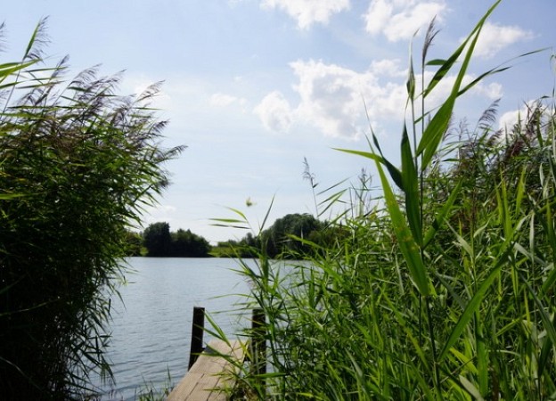 Am Südsee 8