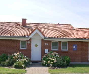 Neu Seeland 35